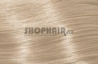 Subrina Professional Unique - Крем-краска для волос с аргановым маслом 10/1 яркий блондин пепельный 100 мл Subrina (Германия) купить по цене 666 руб.