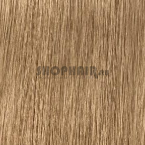 Indola XpressColor - Крем-краска для волос 9.00 Блондин интенсивный натуральный  60 мл Indola (Нидерланды) купить по цене 388 руб.