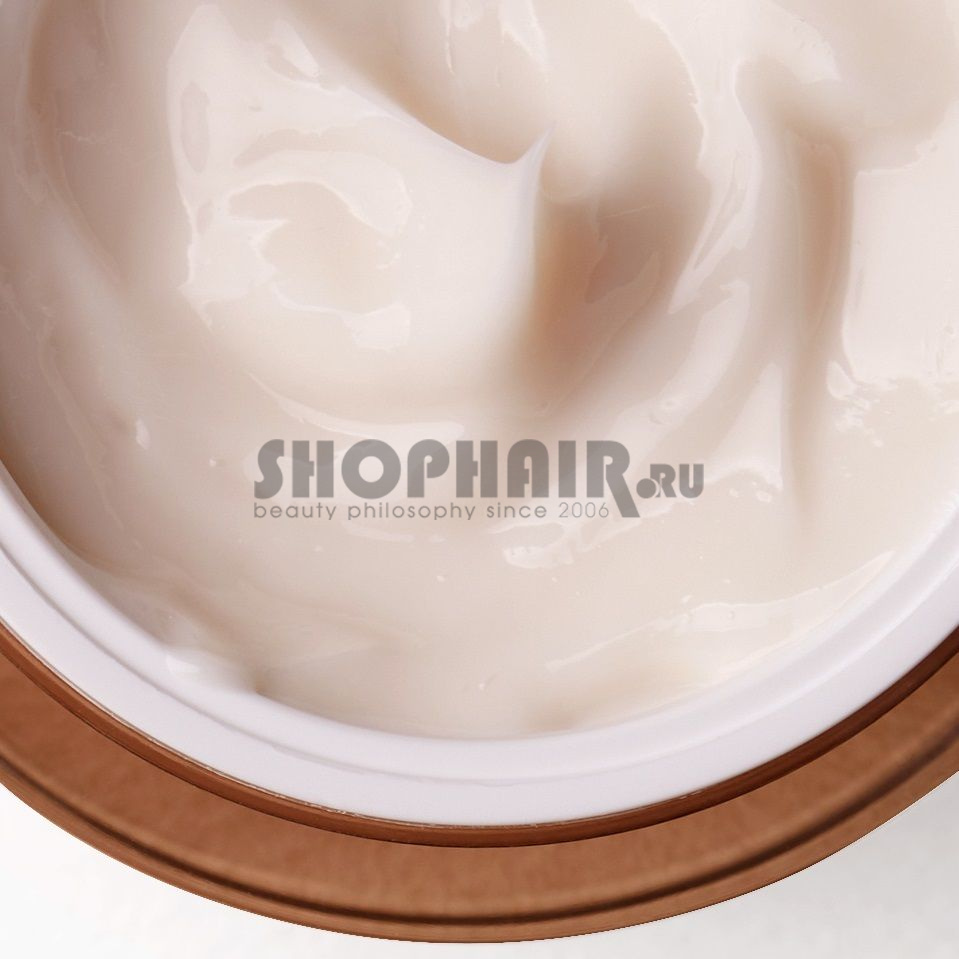 Омолаживающий концентрированный крем с бифидобактериями Biome Concentrate Cream, 50 мл Manyo (Корея) купить по цене 4 780 руб.
