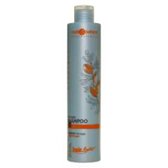 Hair Company Professional Light Bio Argan Shampoo - Шампунь для волос с био маслом Арганы 250 мл Hair Company Professional (Италия) купить по цене 494 руб.